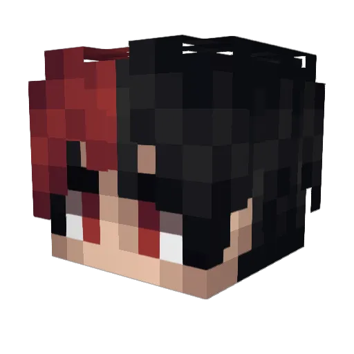 wsedrf30 Minecraft avatar head, 3D render