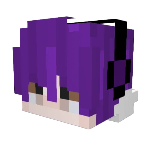 wsenw1771 Minecraft avatar head, 3D render