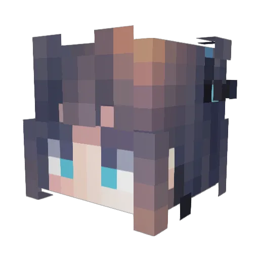 wsfw233 Minecraft avatar head, 3D render