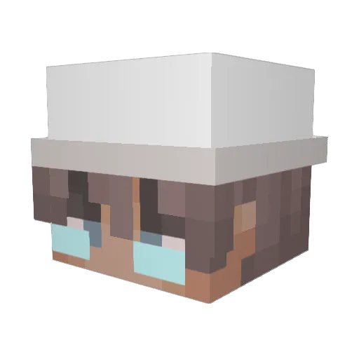 wsgbbg Minecraft avatar head, 3D render