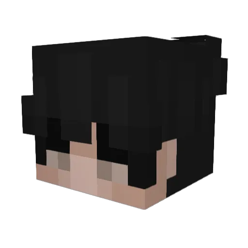 wsgjuan Minecraft avatar head, 3D render