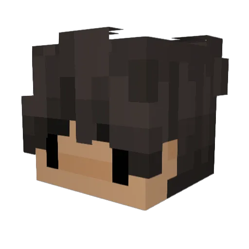 wsgzip Minecraft avatar head, 3D render