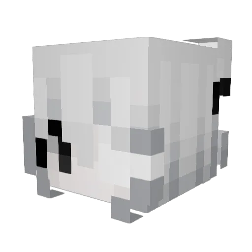 wshEvry Minecraft avatar head, 3D render