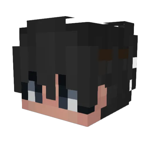 wshaa Minecraft avatar head, 3D render