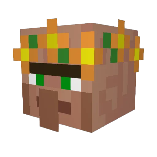 wshbr12 Minecraft avatar head, 3D render