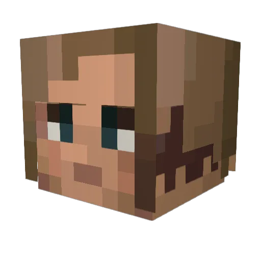 wsi1212 Minecraft avatar head, 3D render