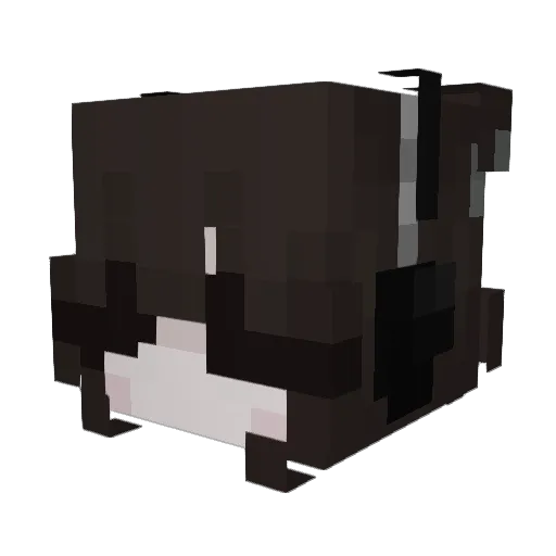 wskis Minecraft avatar head, 3D render