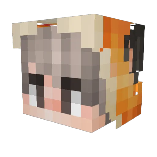 wslzl Minecraft avatar head, 3D render