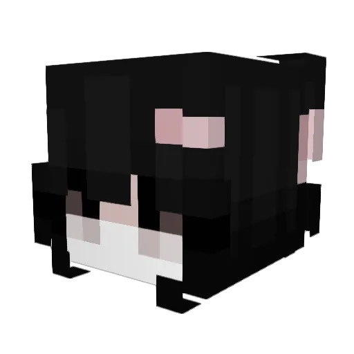 wsn_ Minecraft avatar head, 3D render