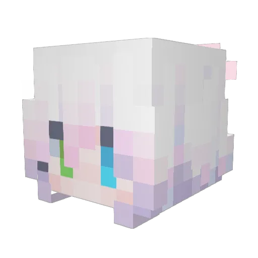 wsoplo Minecraft avatar head, 3D render