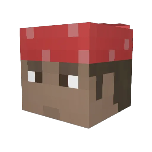 wsqzx Minecraft avatar head, 3D render