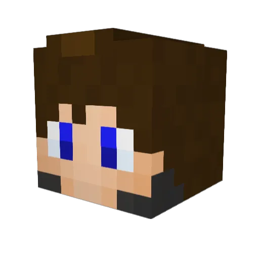 wsrlqq Minecraft avatar head, 3D render