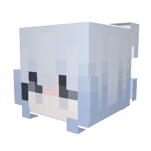 wsssdbl Minecraft avatar head, 3D render