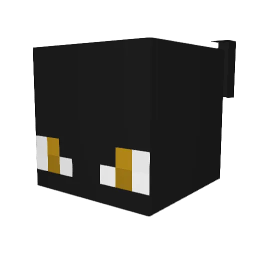 wst Minecraft avatar head, 3D render
