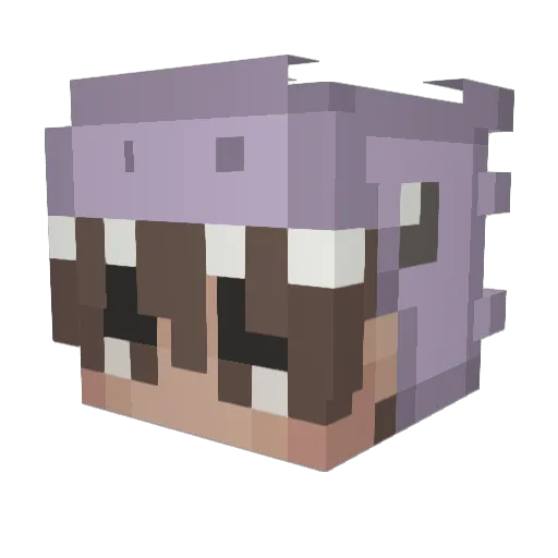 wsteen05 Minecraft avatar head, 3D render