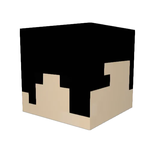 wsxs12 Minecraft avatar head, 3D render