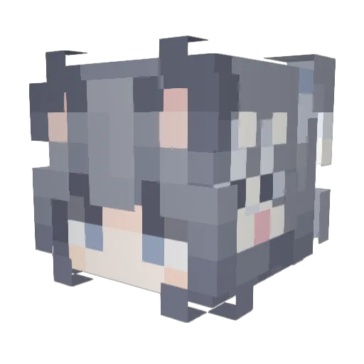 wszyx Minecraft avatar head, 3D render