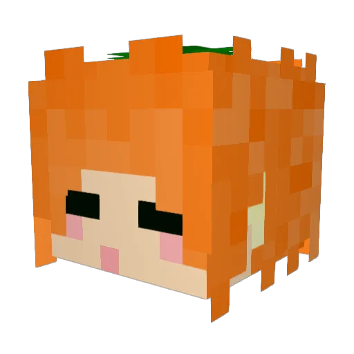 wszzcdsg Minecraft avatar head, 3D render