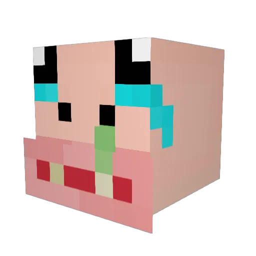wtFconspires Minecraft avatar head, 3D render