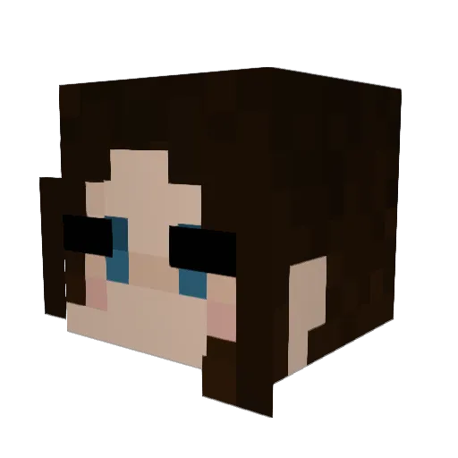 wtacn Minecraft avatar head, 3D render
