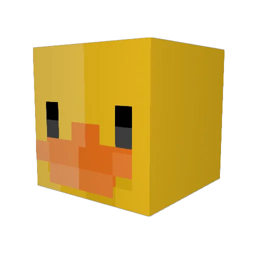 wtduuuck Minecraft avatar head, 3D render