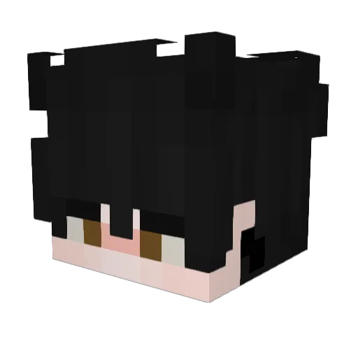 wtejdbe Minecraft avatar head, 3D render