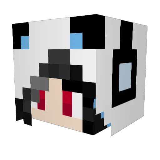 wtf7 Minecraft avatar head, 3D render