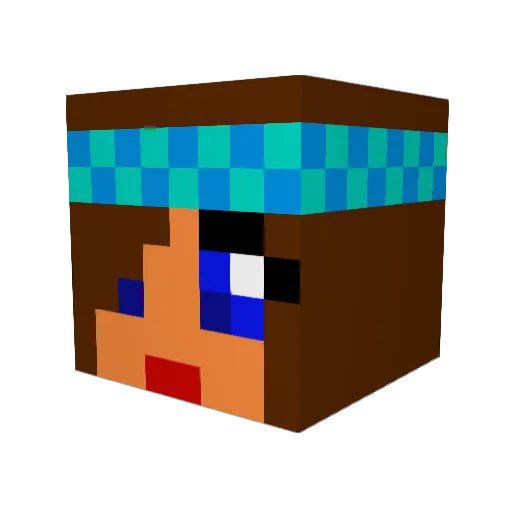 wtf_Han Minecraft avatar head, 3D render