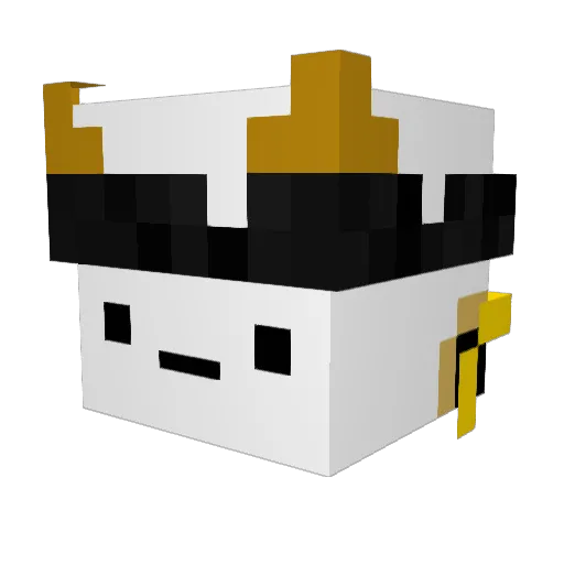 wtf_tomi Minecraft avatar head, 3D render