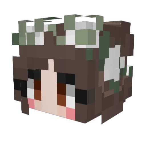 wtfdanii Minecraft avatar head, 3D render