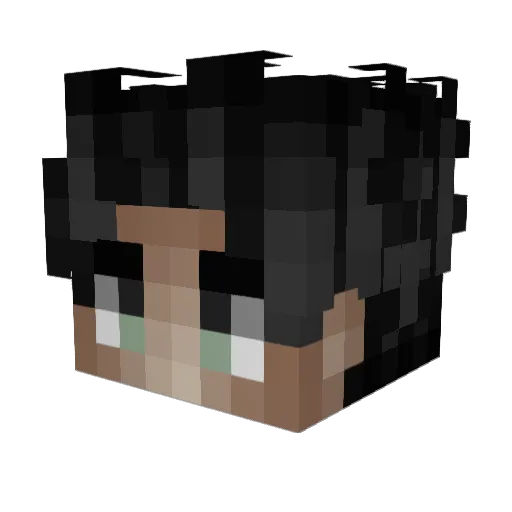 wtfdqmn Minecraft avatar head, 3D render