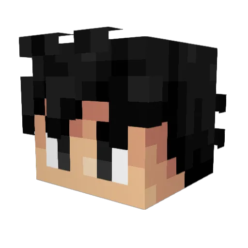 wtfhaha Minecraft avatar head, 3D render