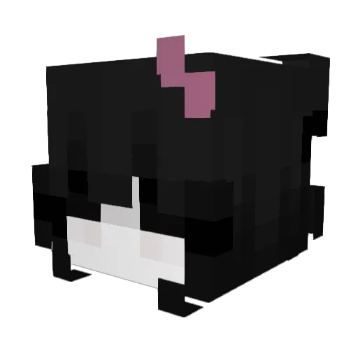 wtfmaddy Minecraft avatar head, 3D render