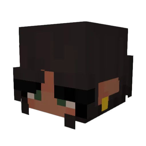 wtfpup Minecraft avatar head, 3D render