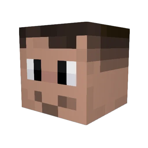 wtfzanchi Minecraft avatar head, 3D render
