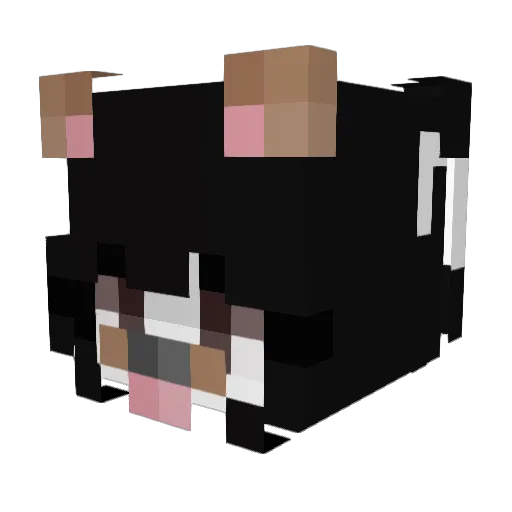 wtfzhira Minecraft avatar head, 3D render