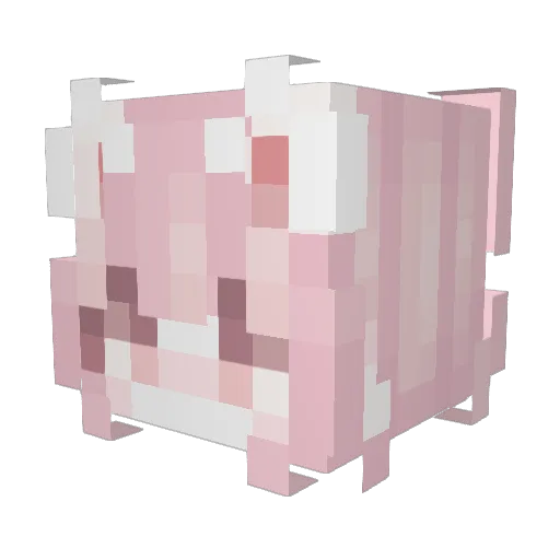 wtgx Minecraft avatar head, 3D render