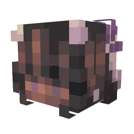 wthellynelly Minecraft avatar head, 3D render