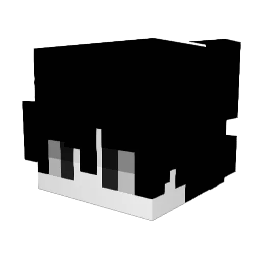 wtlf Minecraft avatar head, 3D render