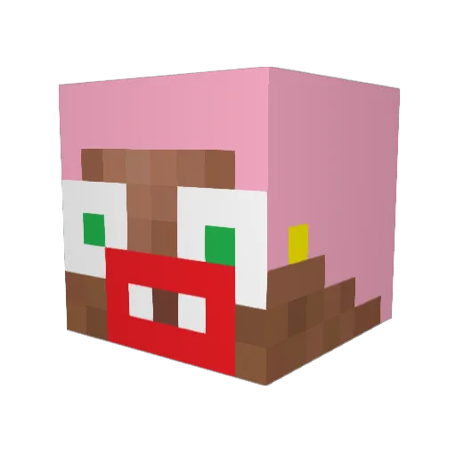 wtmb12 Minecraft avatar head, 3D render