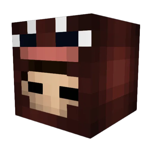 wtmgtd Minecraft avatar head, 3D render