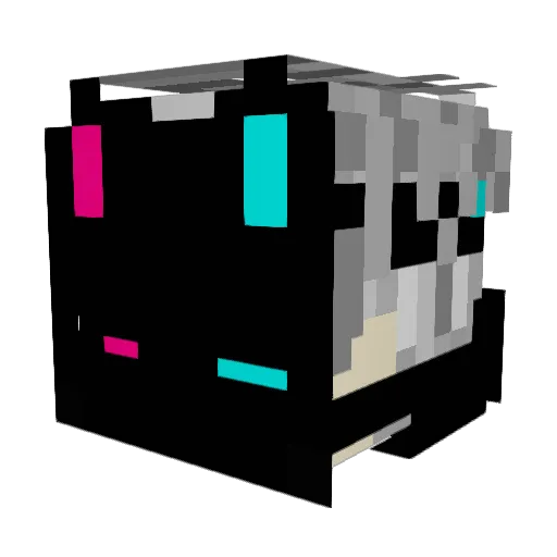 wtnh Minecraft avatar head, 3D render