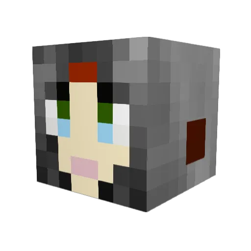 wtrhaus Minecraft avatar head, 3D render