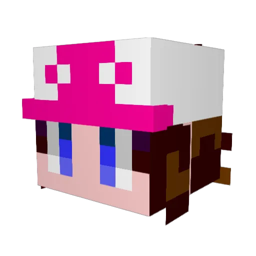 wtrlef Minecraft avatar head, 3D render