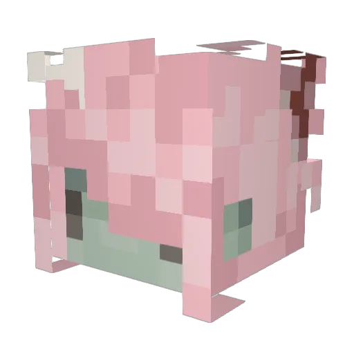 wtrmelly Minecraft avatar head, 3D render