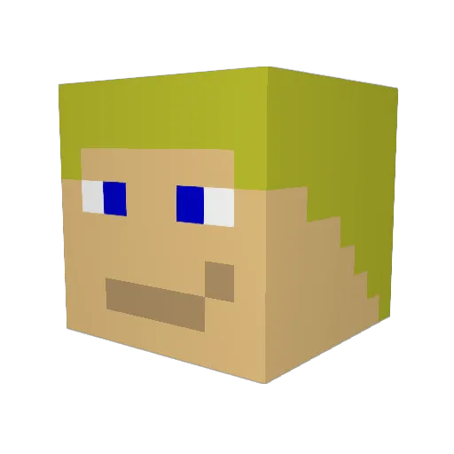 wtstpa Minecraft avatar head, 3D render