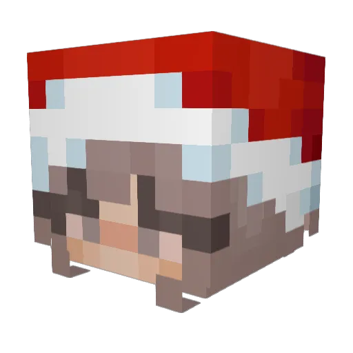 wttw Minecraft avatar head, 3D render