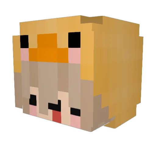 wtvf Minecraft avatar head, 3D render