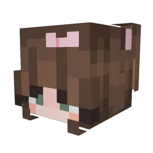 wtvlyss Minecraft avatar head, 3D render