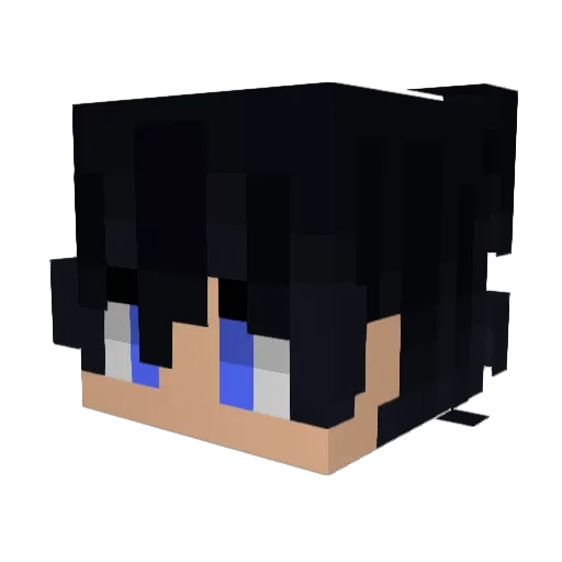 wu1 Minecraft avatar head, 3D render